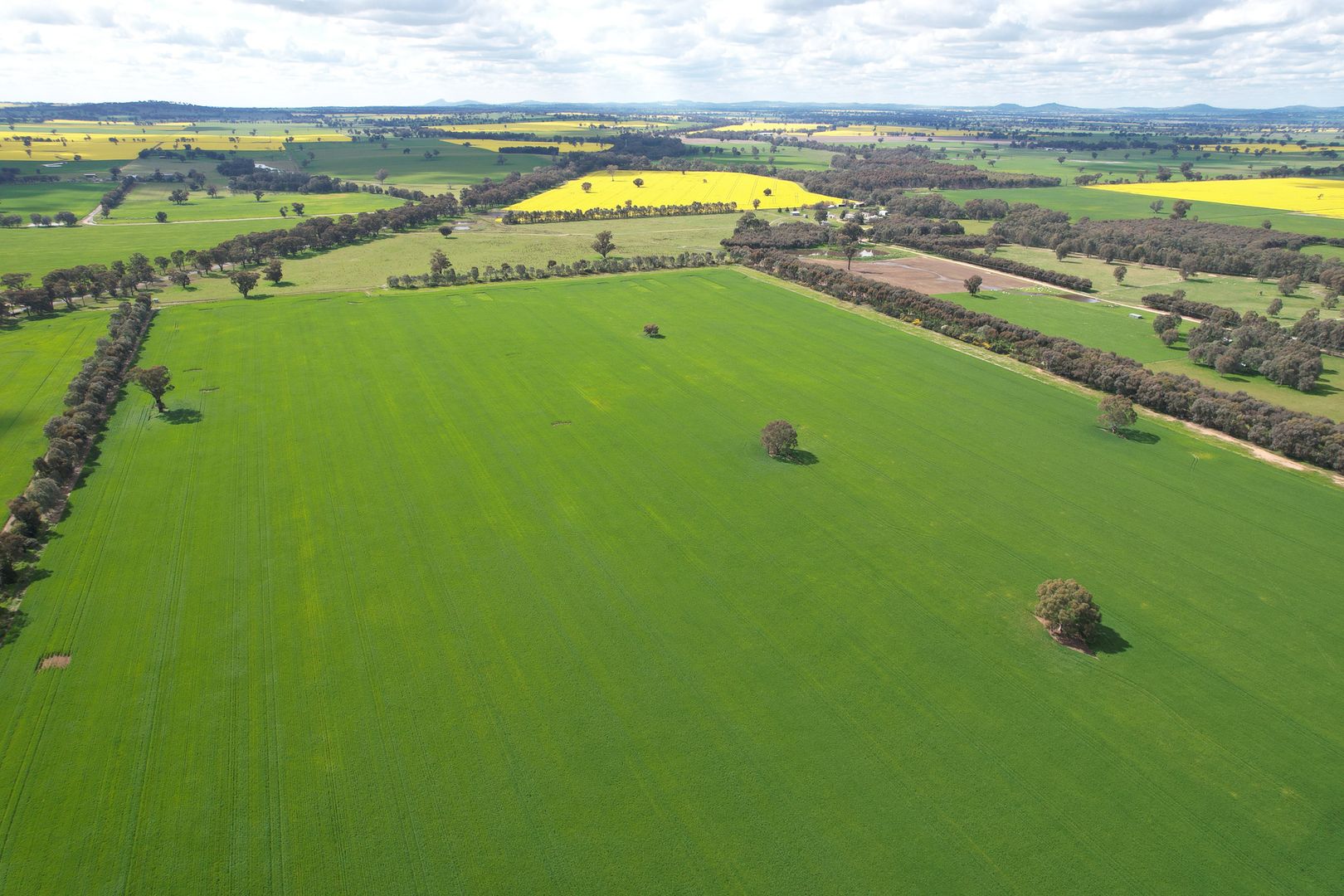 Cleveland HentyWalla Road, Culcairn NSW 2660 House for Sale