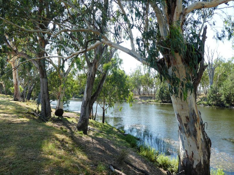 Goondiwindi QLD 4390, Image 0