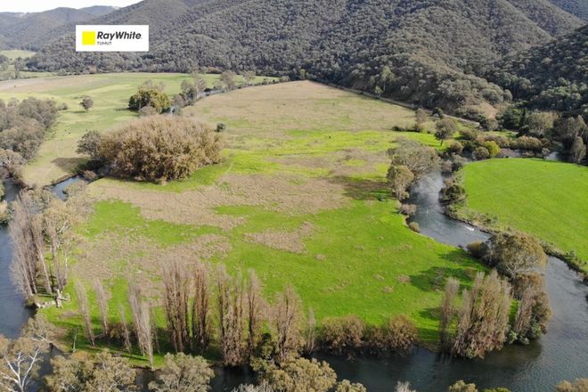 Picture of West Blowering, JONES BRIDGE NSW 2720