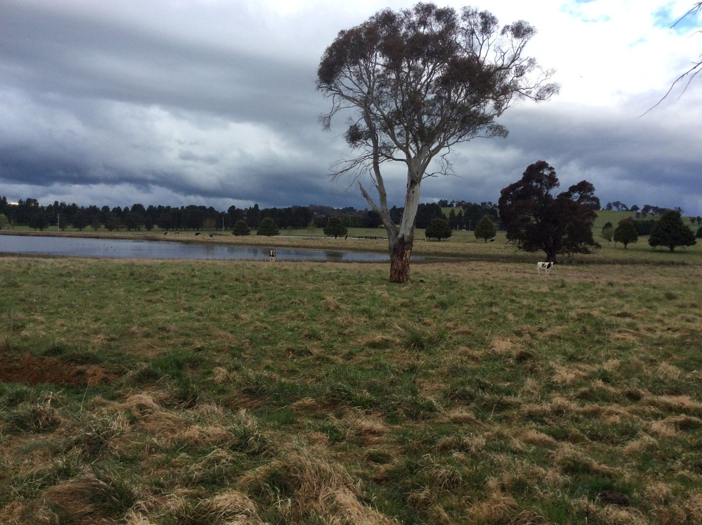 3133 Canyonleigh Rd, Sutton Forest NSW 2577 House for Sale Domain