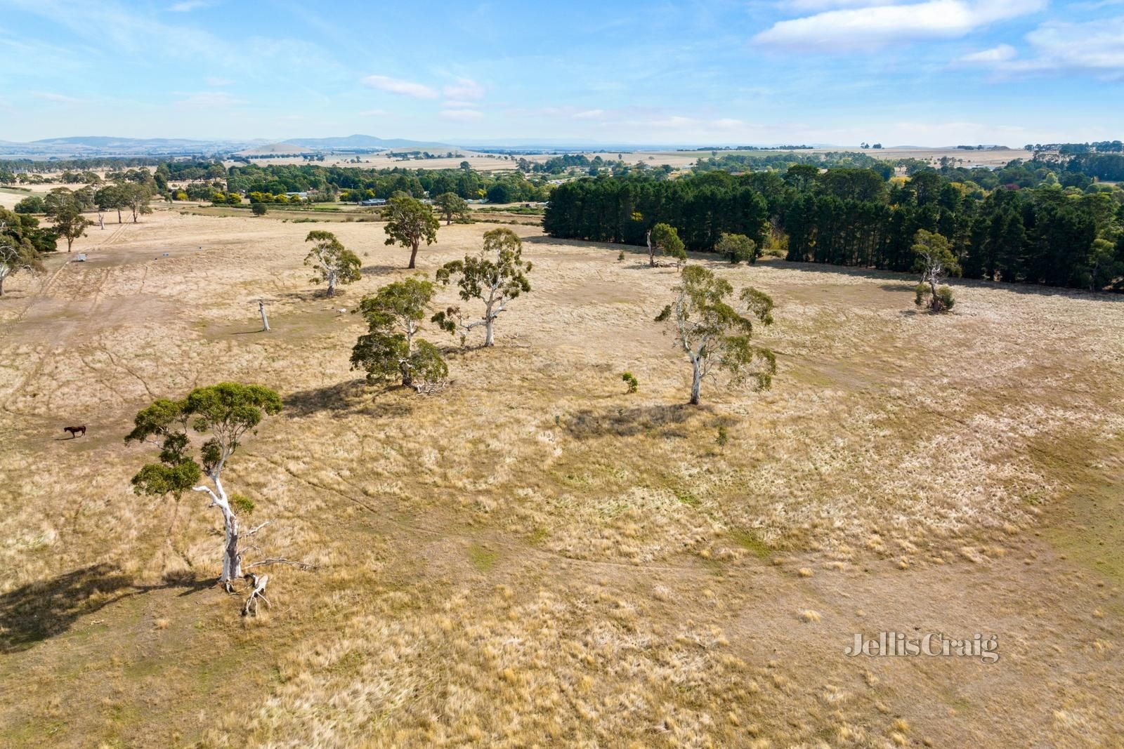 4175 Creswick Newstead Road, Allendale VIC 3364 Vacant Land for Sale