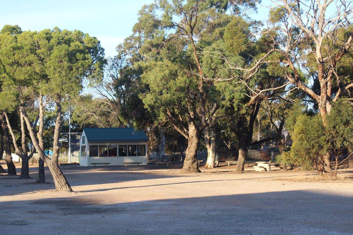 19 Railway Terrace, Bute SA 5560 Domain