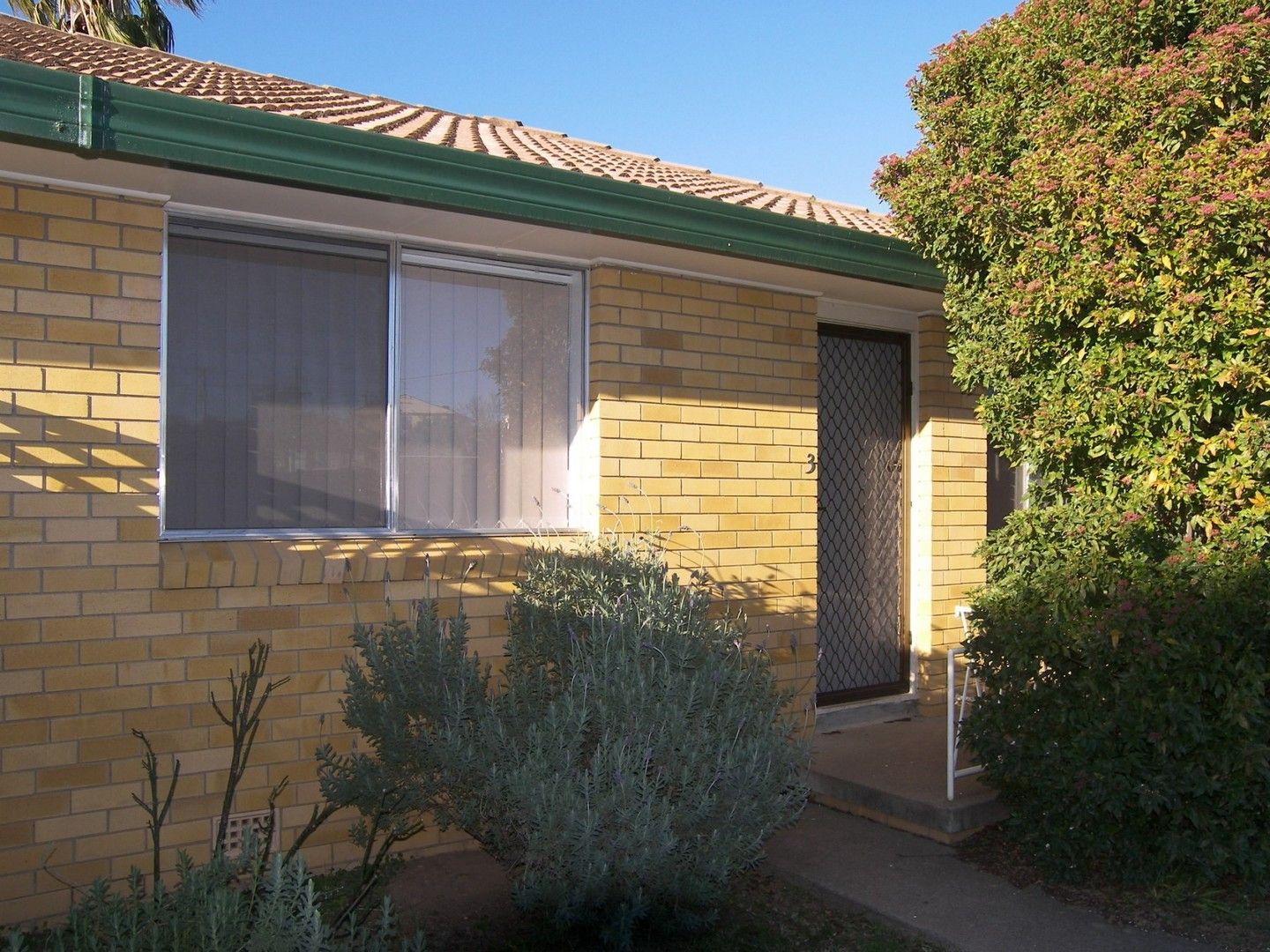 3/31 Garden Street, Tamworth NSW 2340 Apartment For Rent Domain