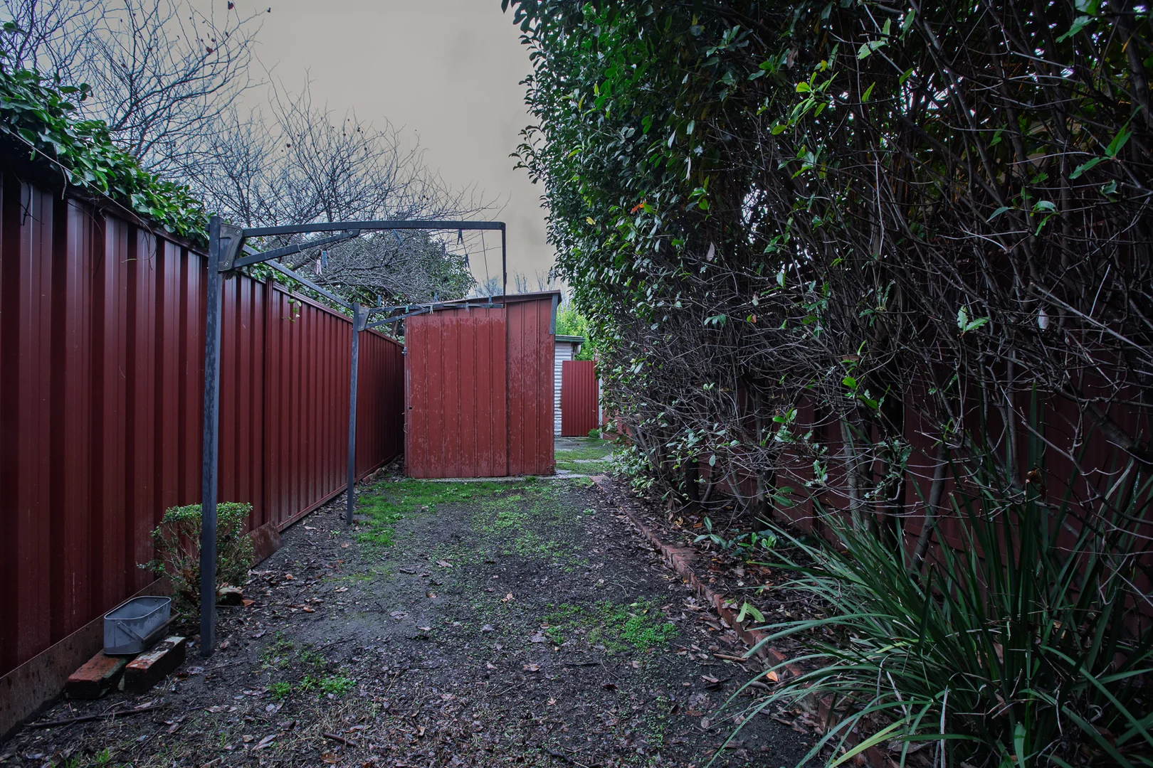 Image 17