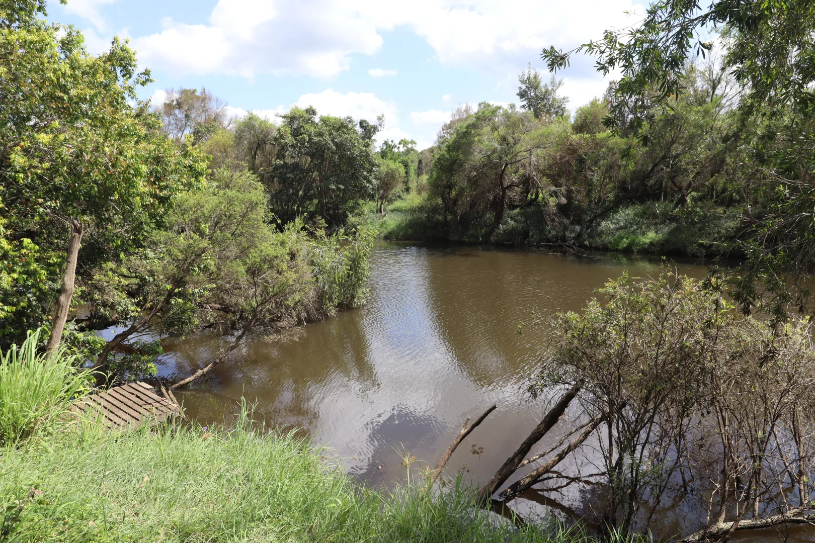 Image 33