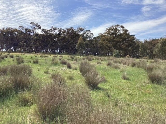 Lot 38C Lexton-Evansford Road, Evansford VIC 3371, Image 2