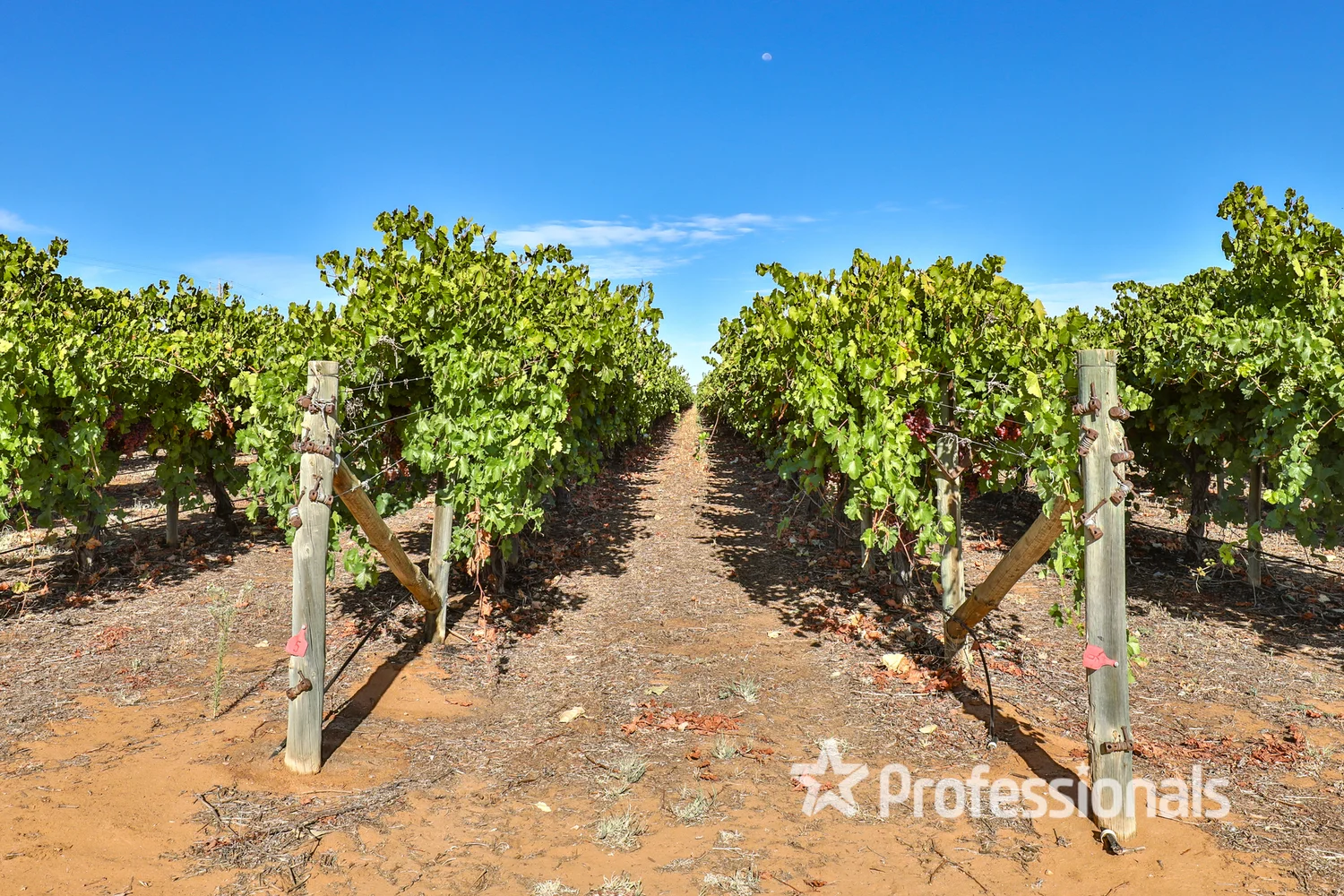 Additional image 19 of 248 Sunnycliffs Crescent, Red Cliffs VIC 3496