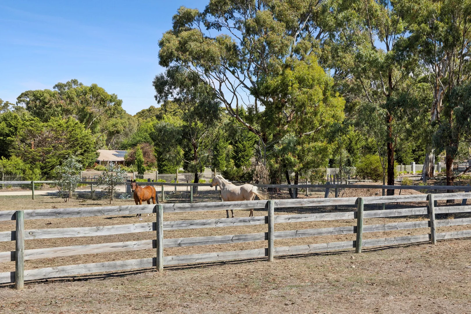 Additional image 19 of 100 McKinleys Road, Clunes VIC 3370