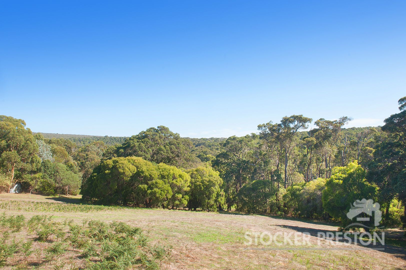 12 Ellen Place, Margaret River WA 6285, Image 1