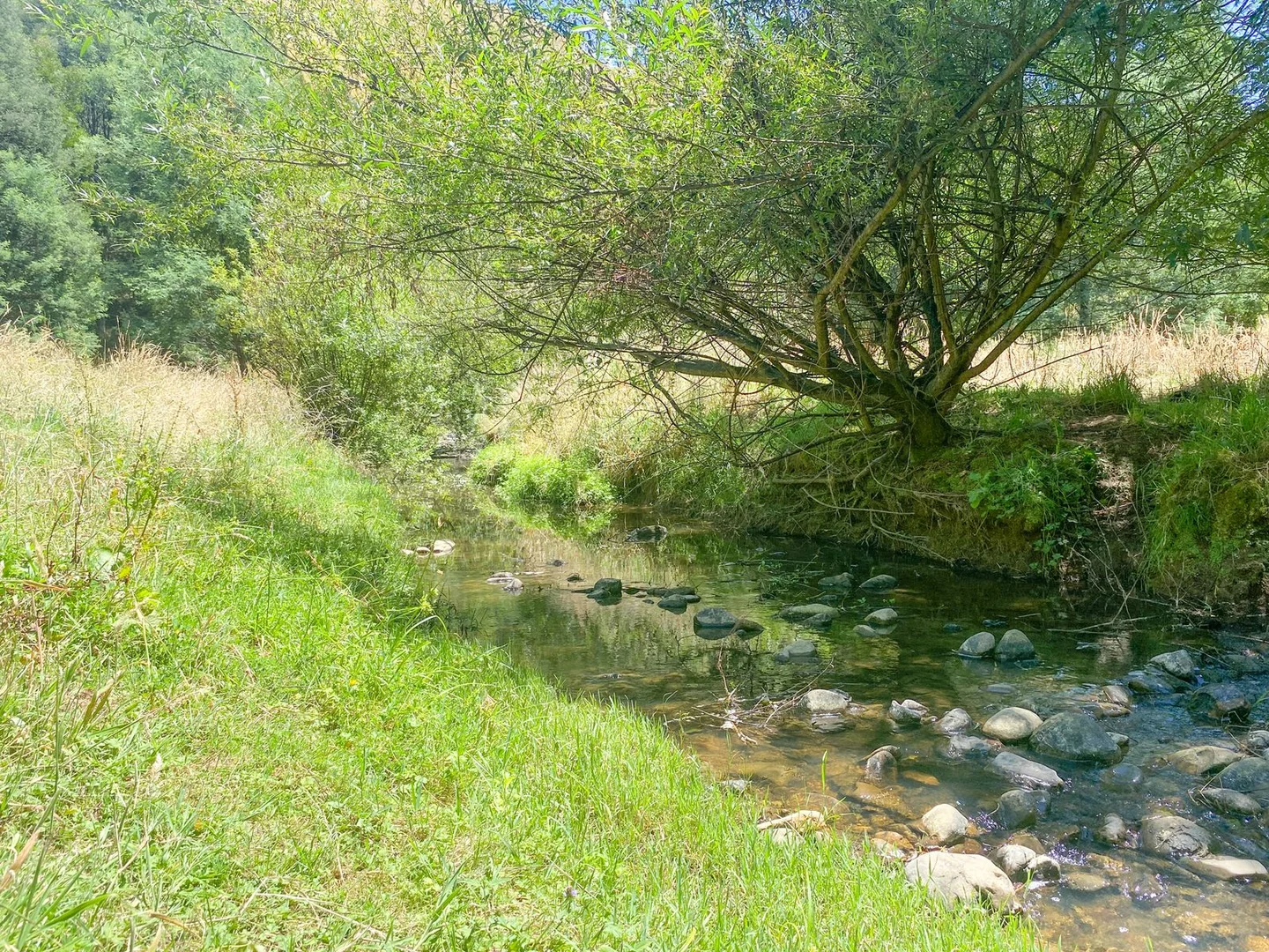 Image 23