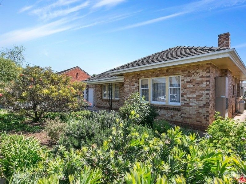 77 Albert Street, Clarence Gardens SA 5039, Image 0