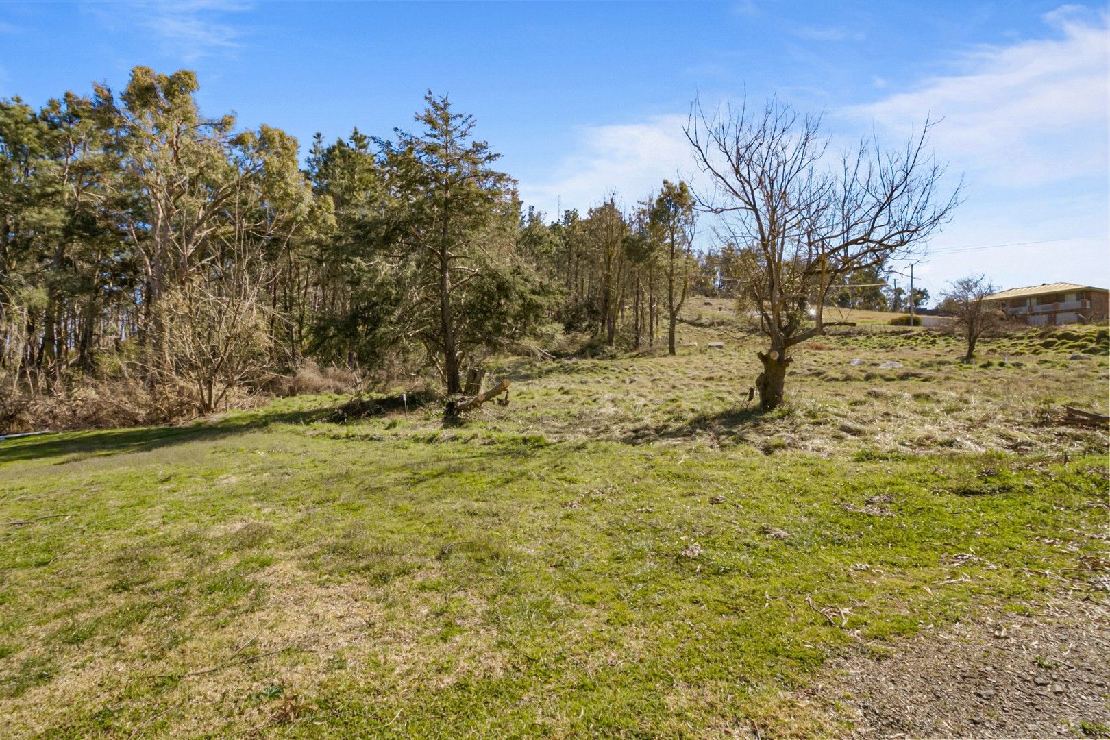 Vacant land in 72 Hill Street, URALLA NSW, 2358