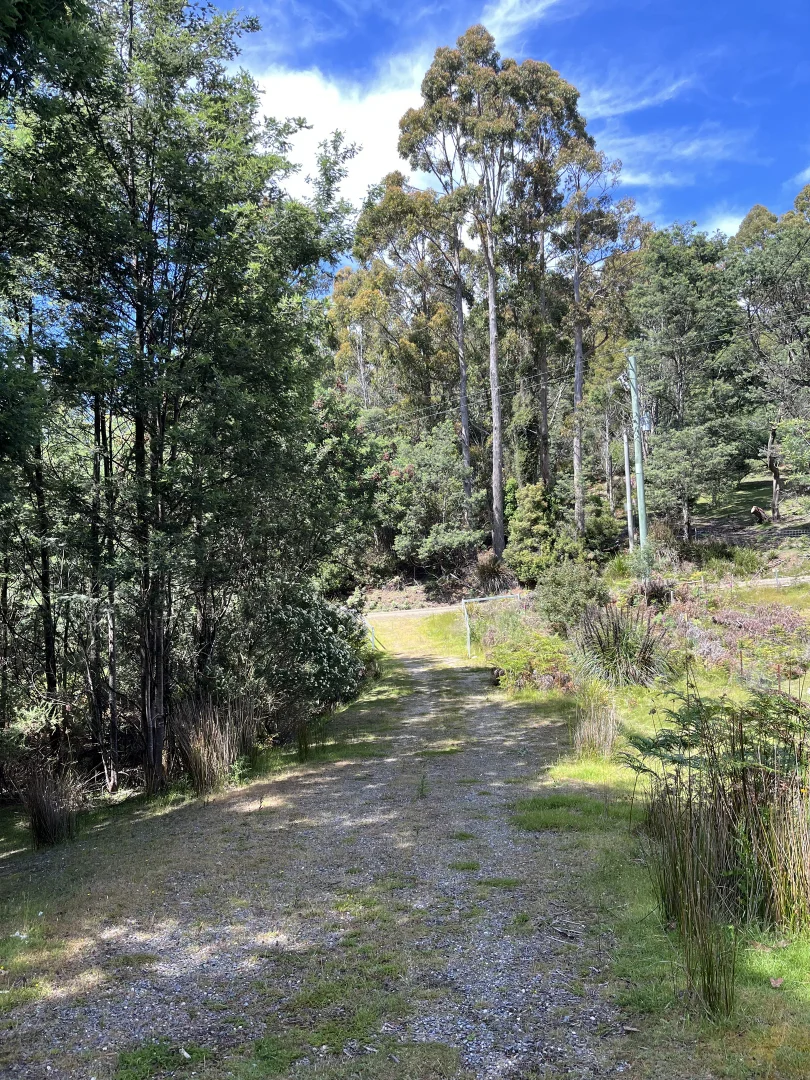 Additional image 14 of 166 Kerrisons Road, Holwell TAS 7275