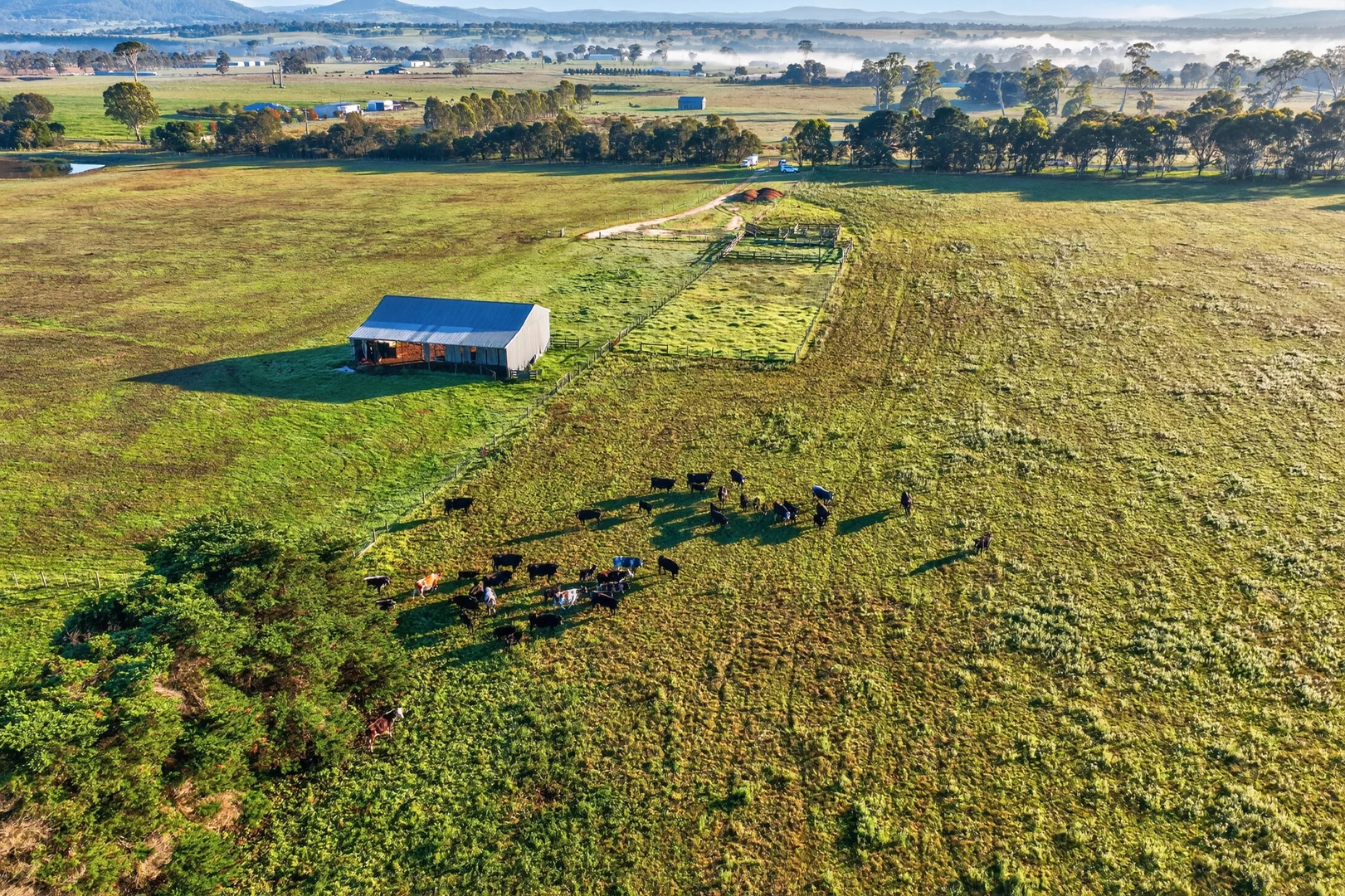 Additional image 8 of 215 Bairnsdale-Dargo Road, Bairnsdale VIC 3875