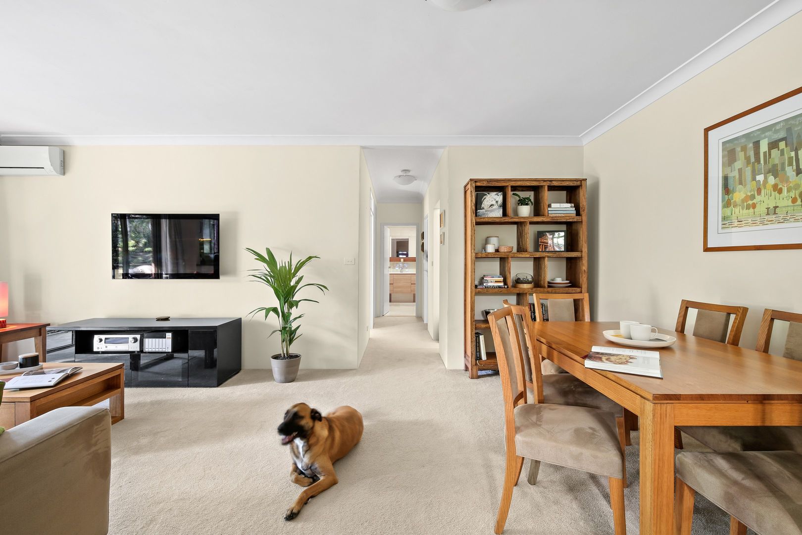 20/213-221 Bridge Road, Glebe NSW 2037, Image 2