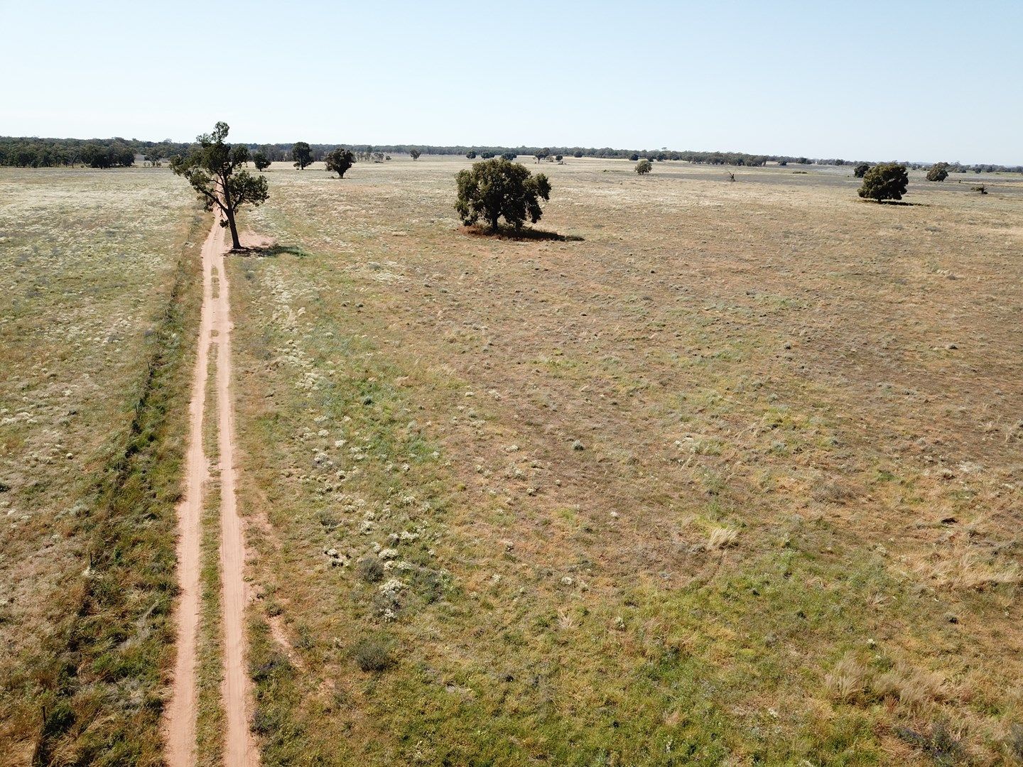 'Waratah' 176 Lincoln Lane, Narromine NSW 2821, Image 0