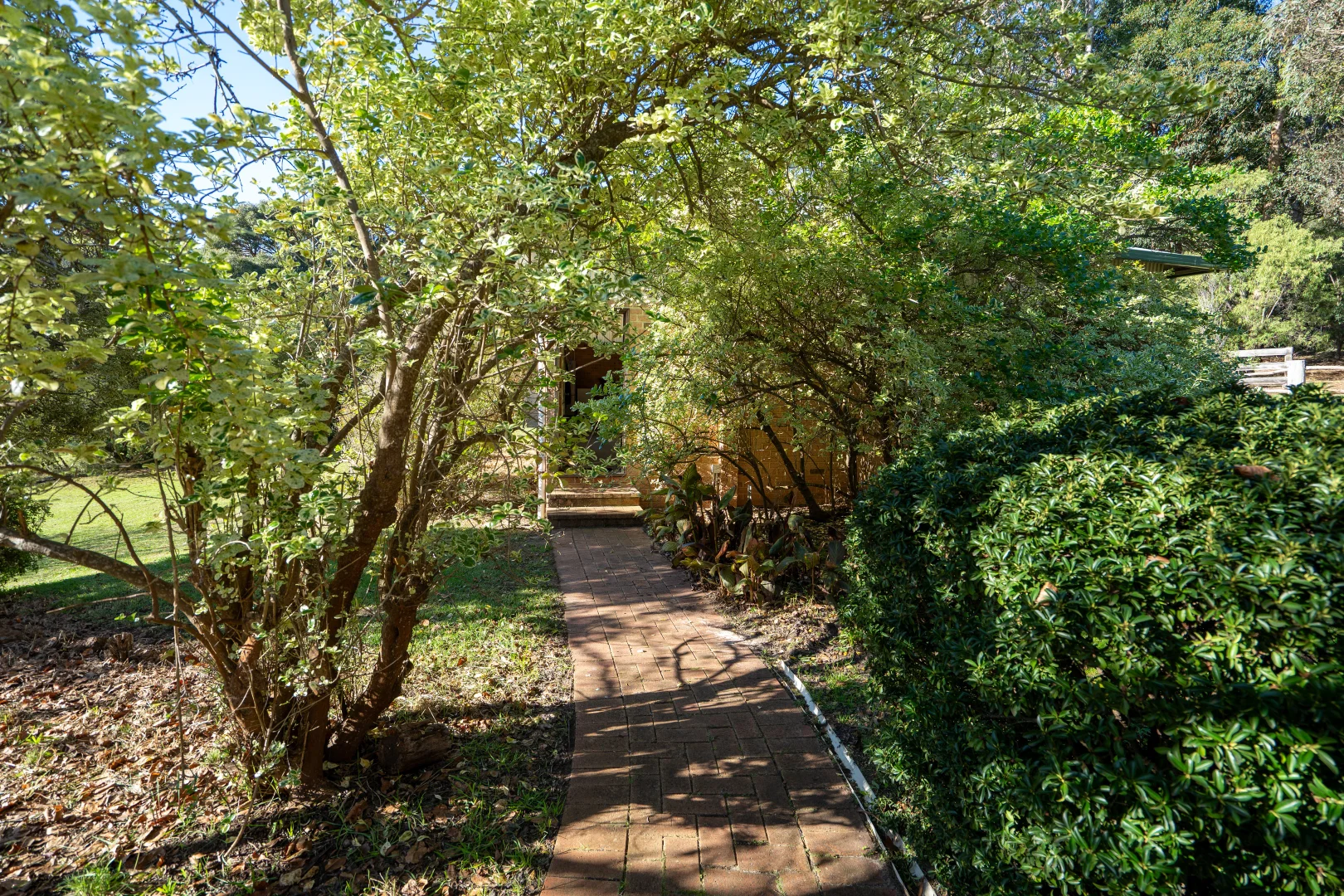 Image 20