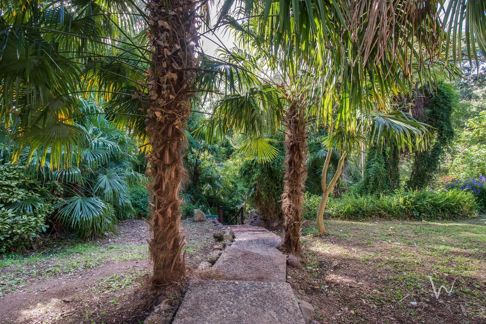 Additional image 9 of 5 Wattle Avenue, Belgrave VIC 3160