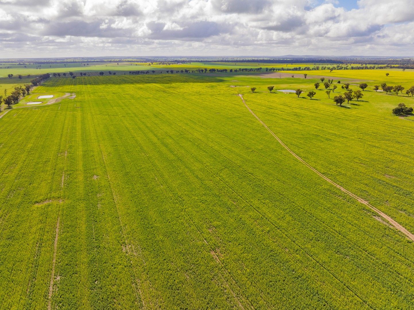 Lonsdale Lane, Coolamon NSW 2701, Image 0