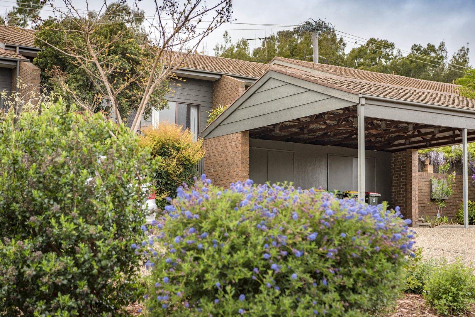 9/4 Mansfield Place, Phillip ACT 2606 Apartment For Rent Domain