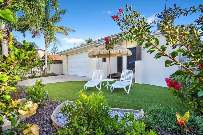 Picture of 6 Teal Avenue, PARADISE POINT QLD 4216