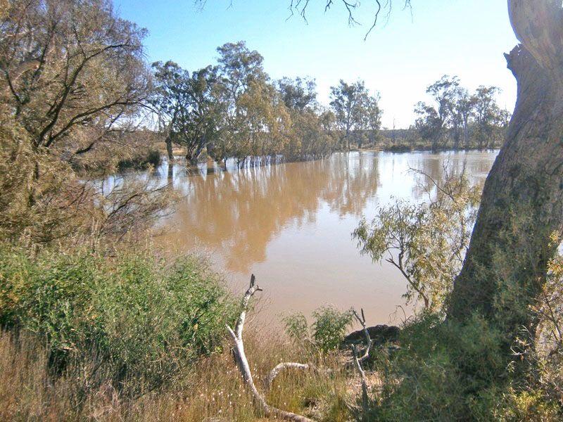 Lot 10 Nikalapko Boundary Road, TAYLORVILLE SA 5330, Image 0