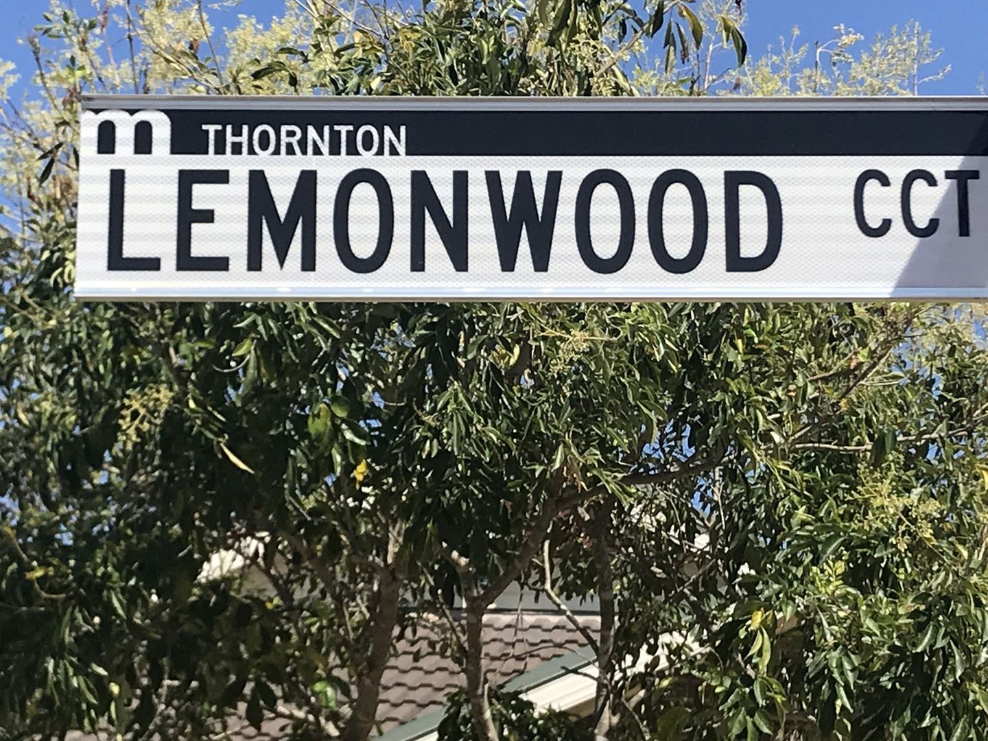 51 Lemonwood Cct, Thornton NSW 2322, Image 1