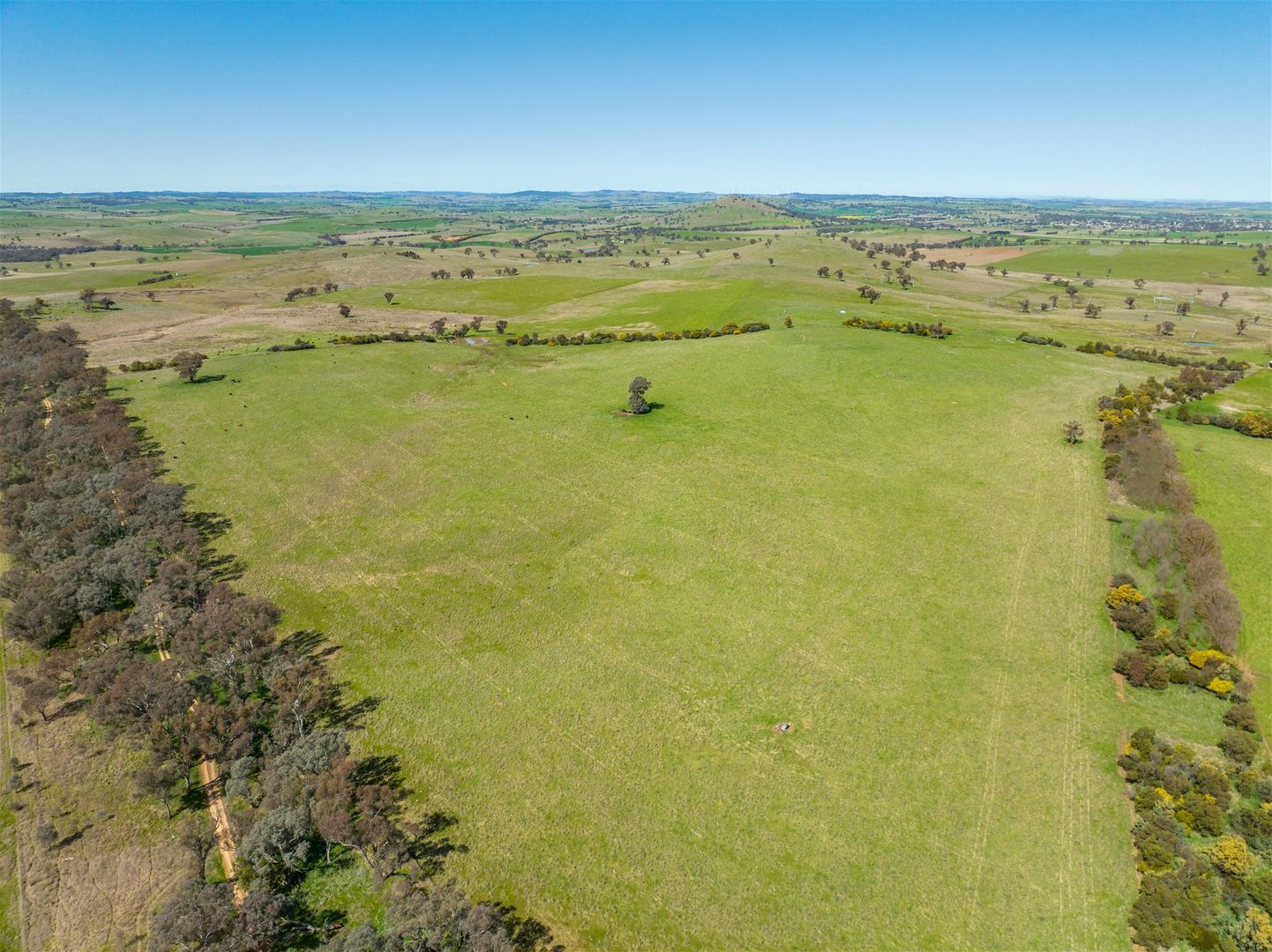 604  KENYU ROAD, Boorowa NSW 2586, Image 2