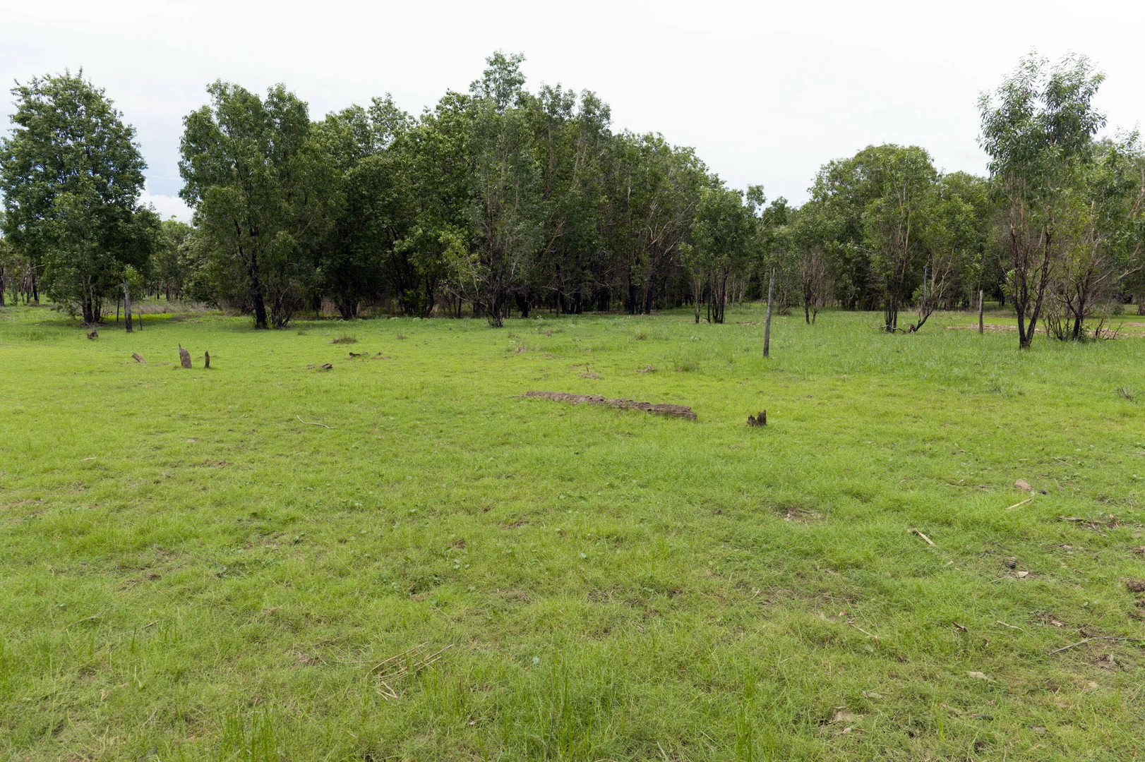 Additional image 8 of Douglas-Daly NT 0822