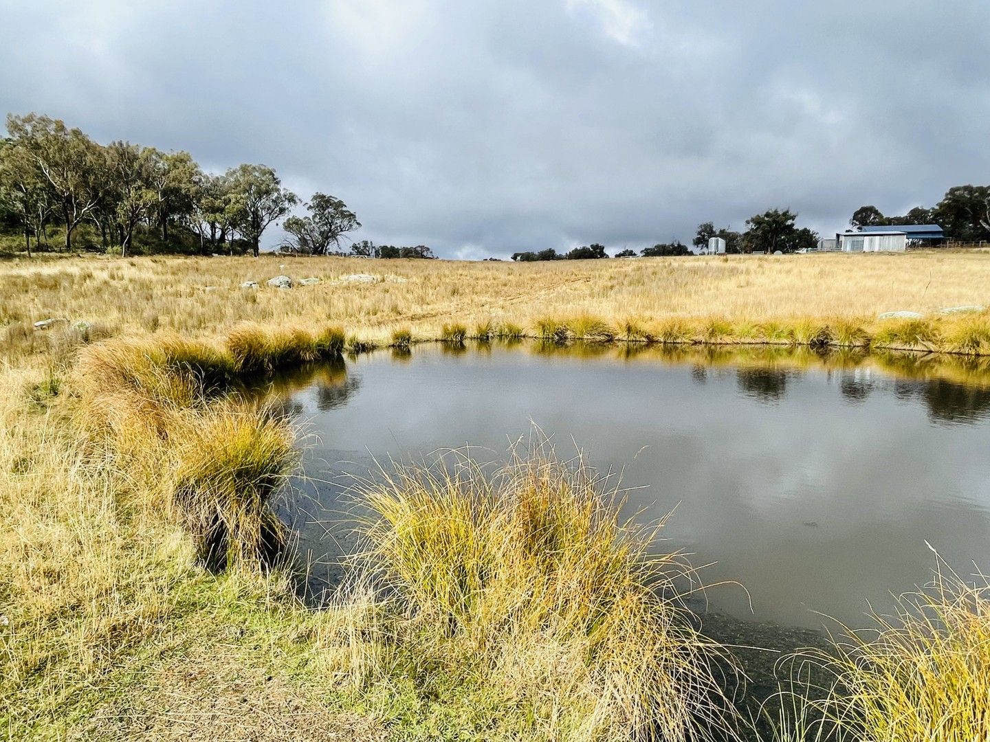 568 Airlie Stock Route Road, Tamworth NSW 2340, Image 0