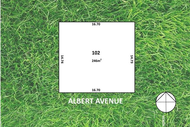Picture of Lot 102  55 Clifton Street, CAMDEN PARK SA 5038