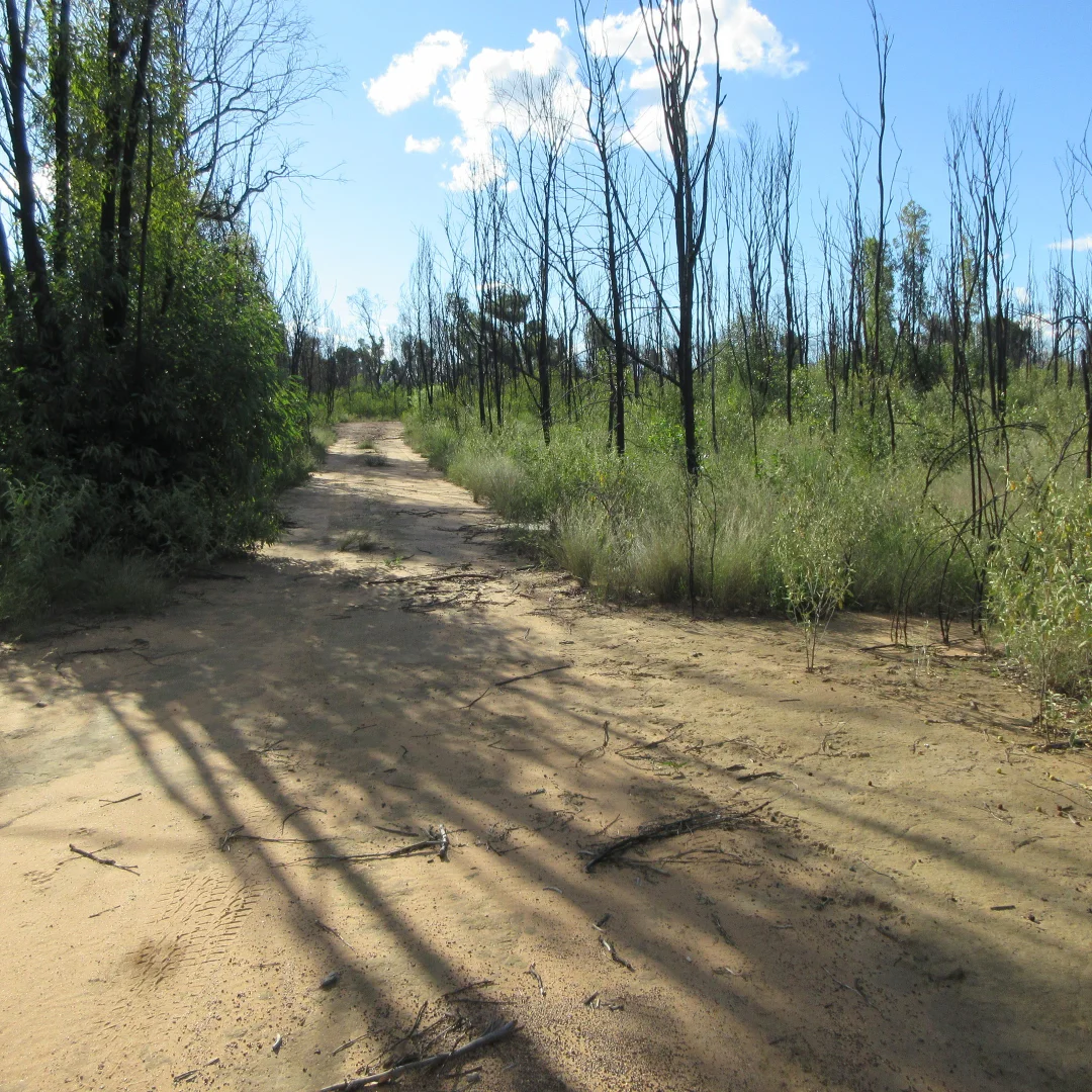 Additional image 6 of 10 Tara Chinchilla Road, Tara QLD 4421