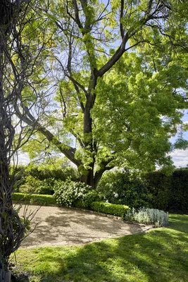 Image 33