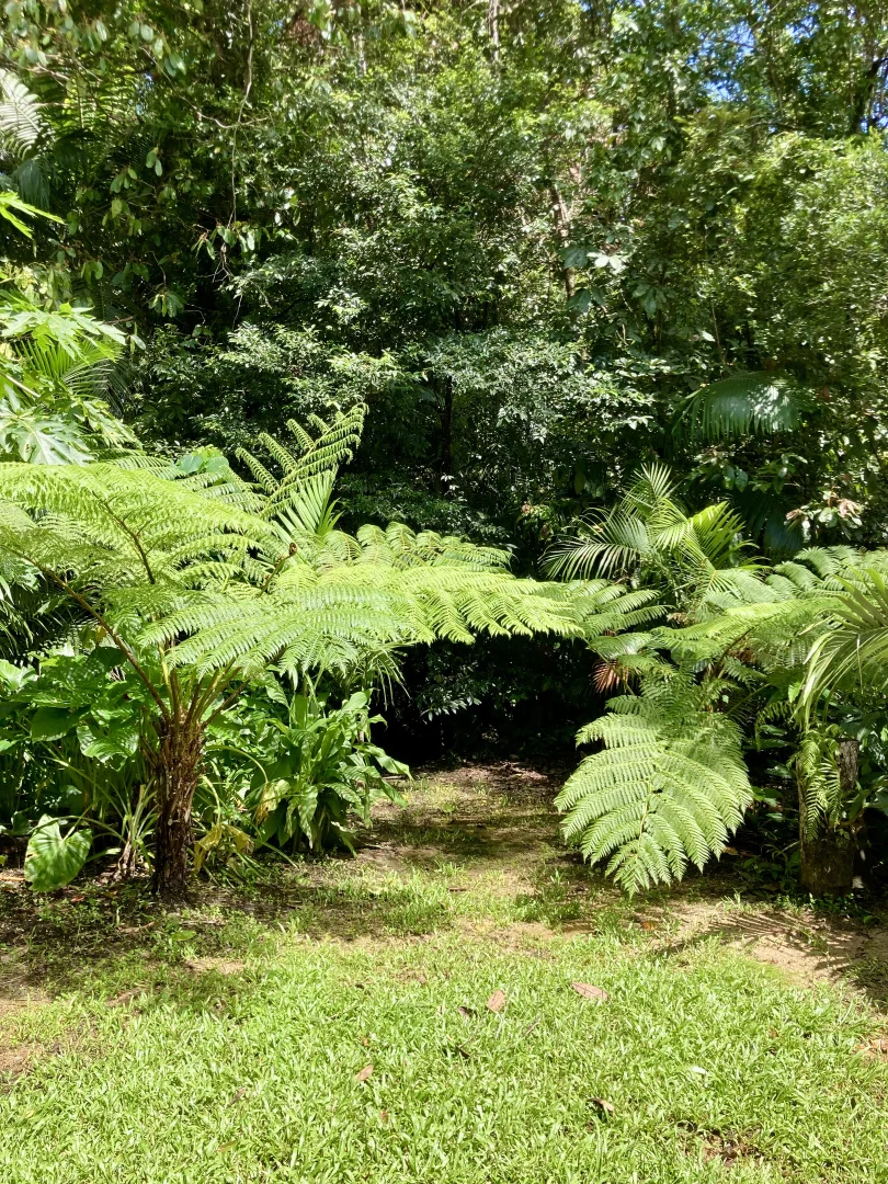 Additional image 11 of Eungella QLD 4757