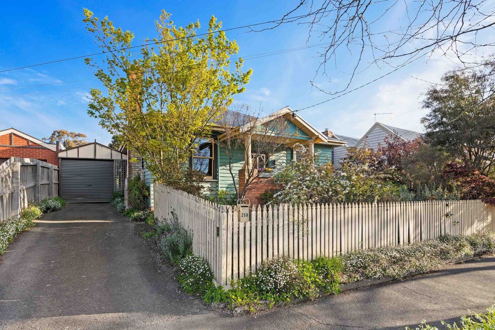 258 Humffray Street North, Brown Hill VIC 3350 Domain