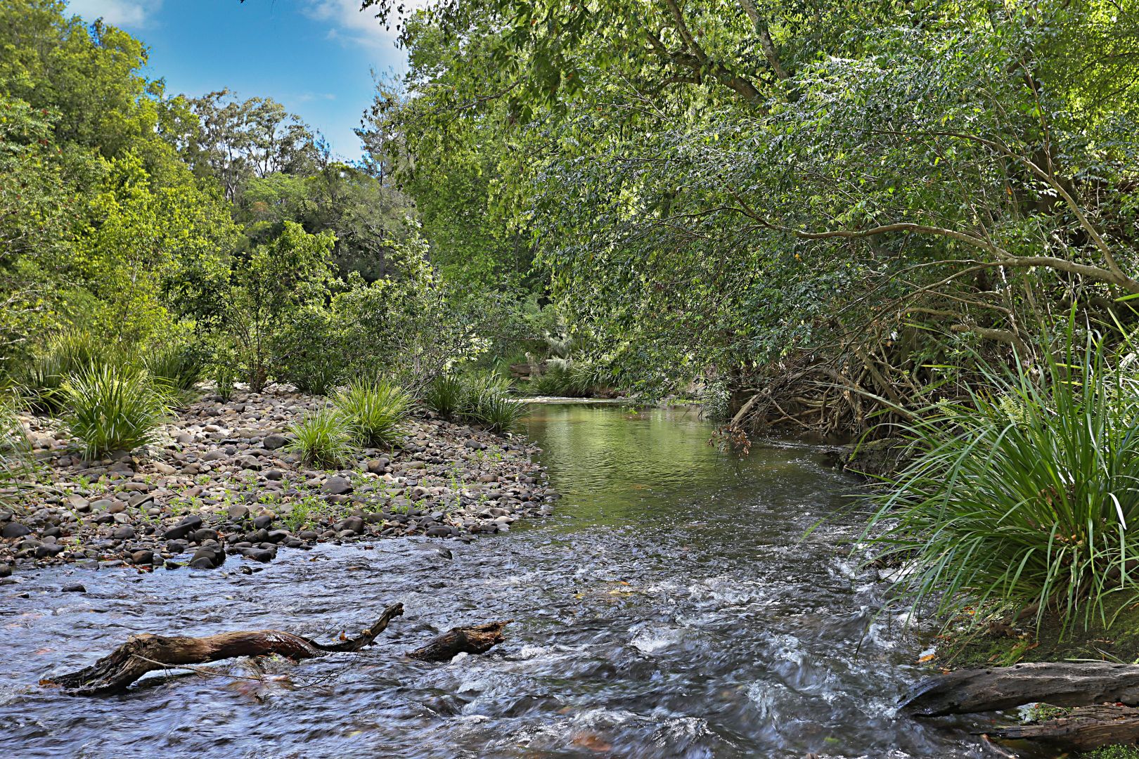 270 Fosterton Road, Dungog | Property History & Address Research | Domain