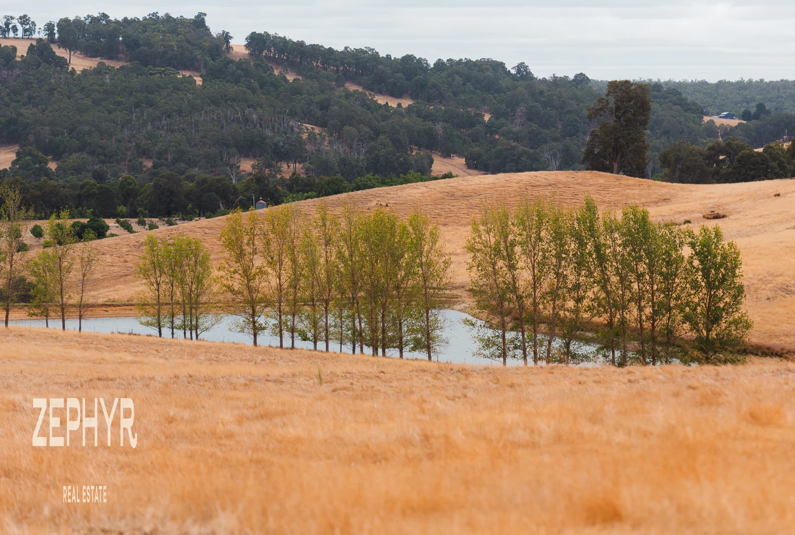 Additional image 20 of 89 Hearle Road, Mumballup WA 6225