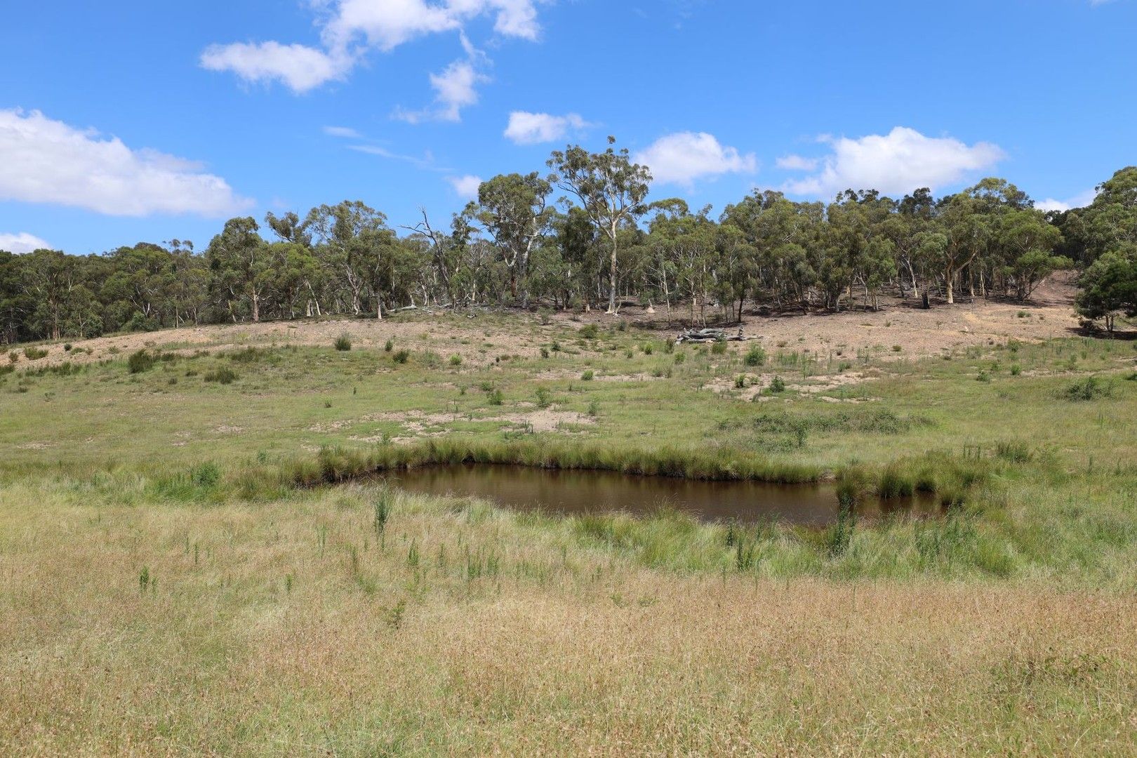 Oallen Road, Nerriga NSW 2622, Image 0