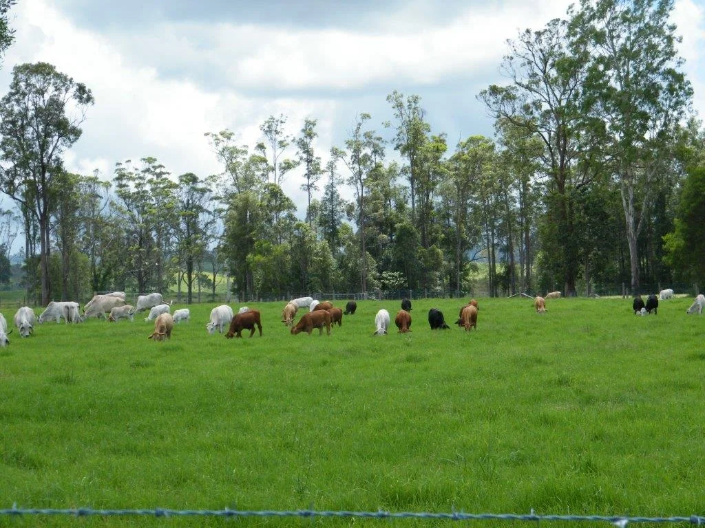 Image 71
