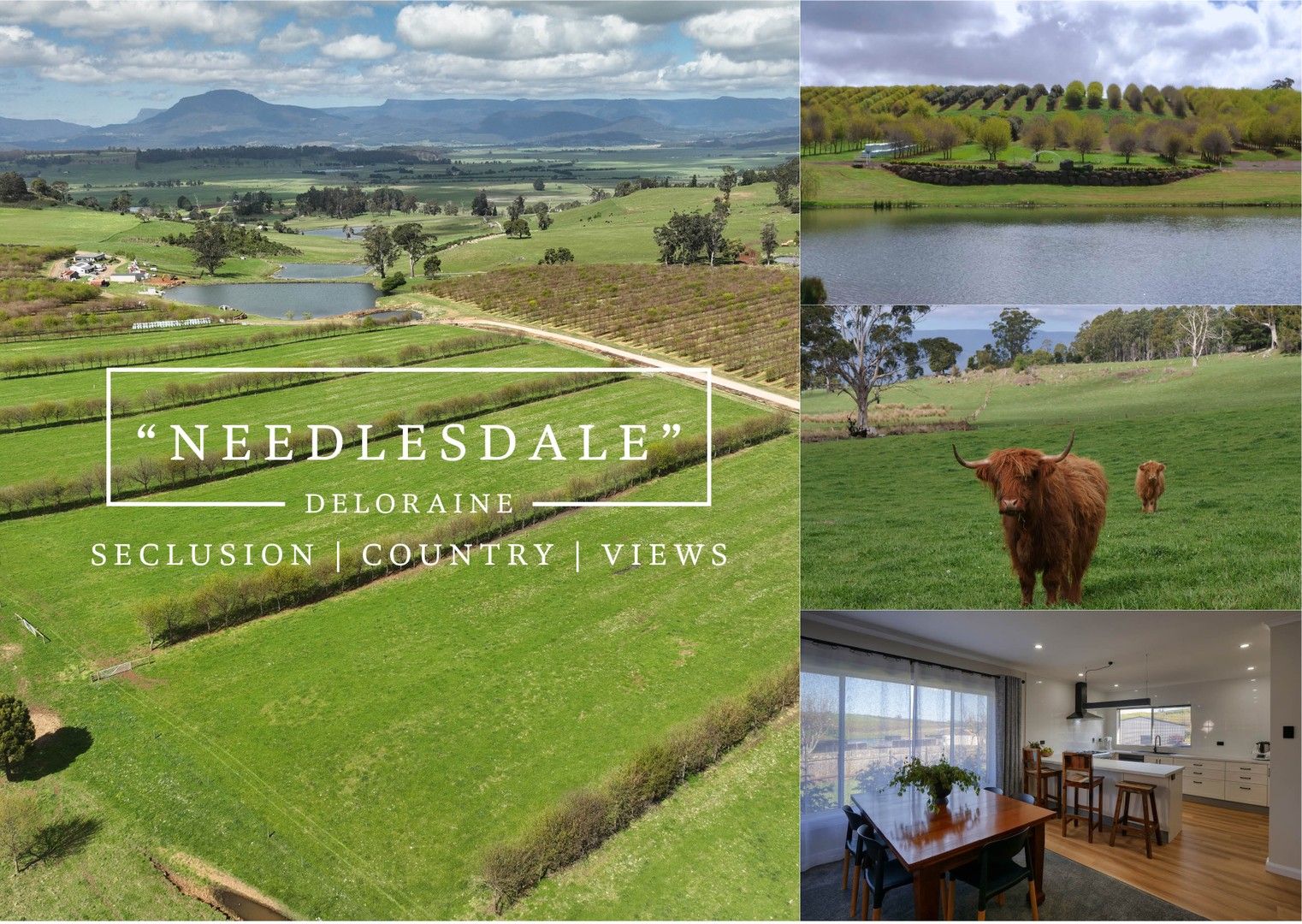 110 Trickett Road, Deloraine TAS 7304 House for Sale Domain