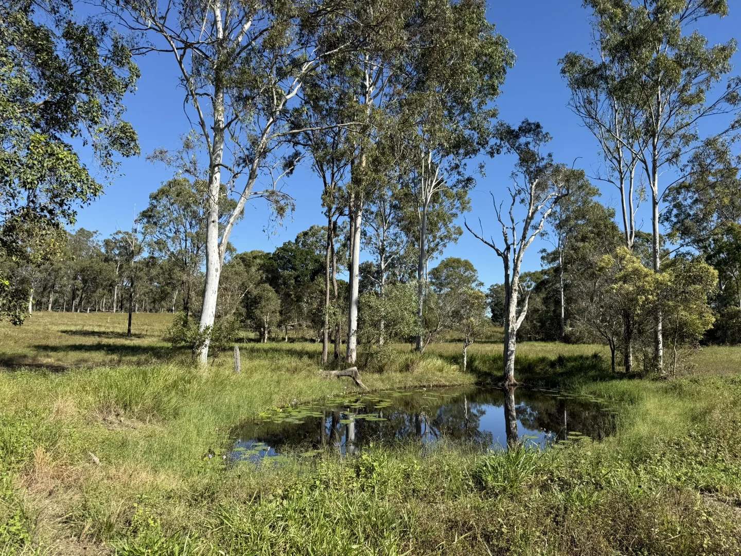 Image 19