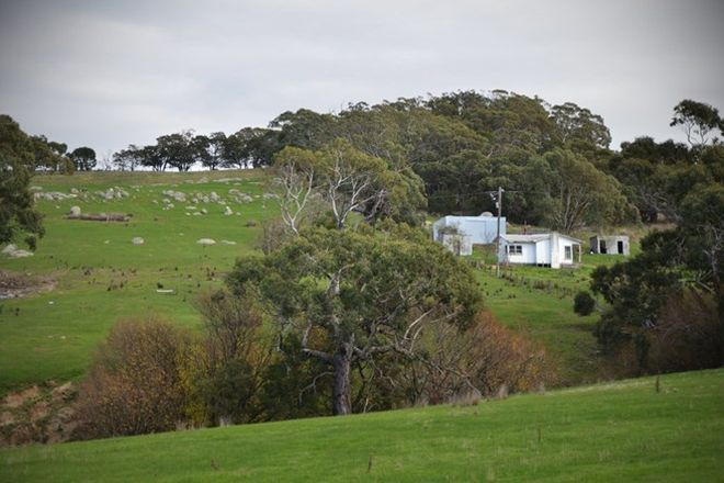 Picture of 1008 Mission Hill Road, BAYNTON EAST VIC 3444