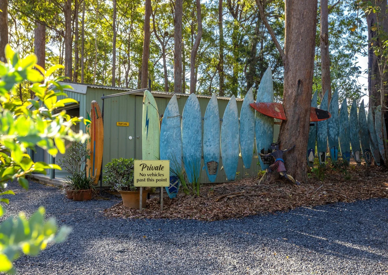 Image 61