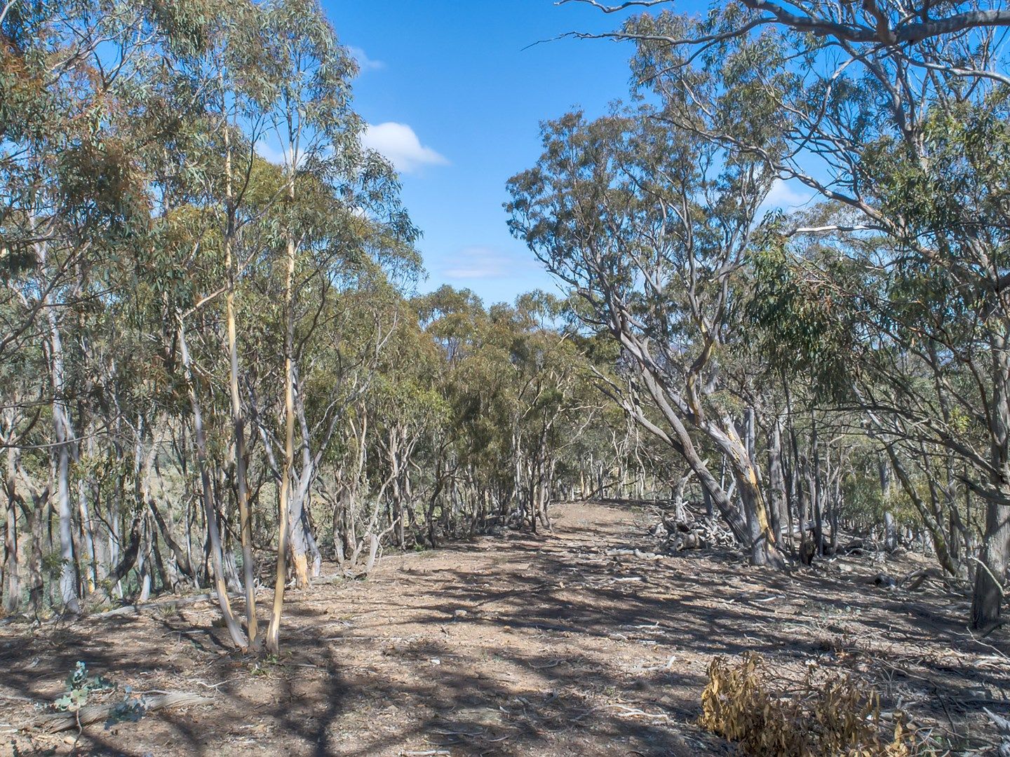 Lot 40 Birchmans Grove, Wamboin NSW 2620, Image 2