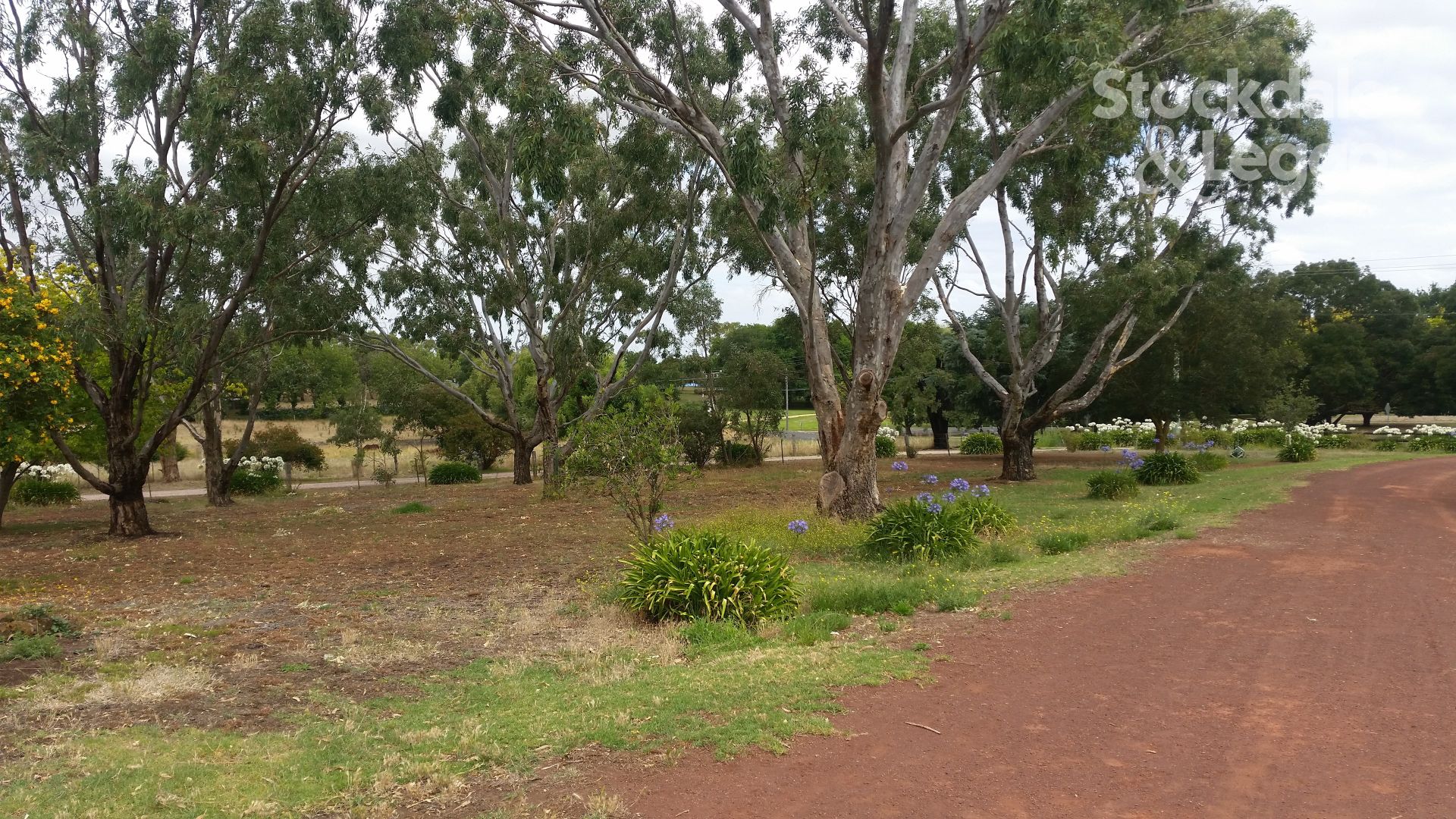 24 BOUNDARY ROAD, Mortlake VIC 3272, Image 2