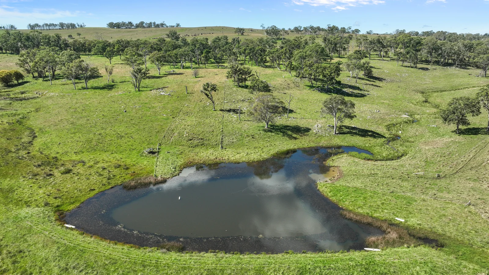 Additional image 6 of "Wyanga" 195 Gills Road, Uralla NSW 2358