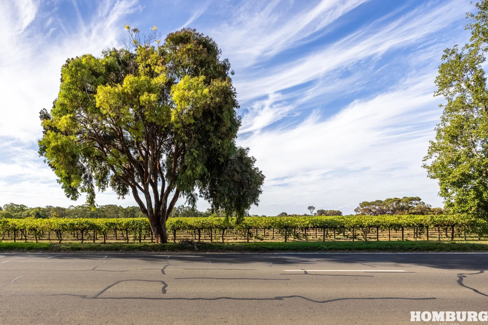Additional image 24 of 56 Para Road, Tanunda SA 5352