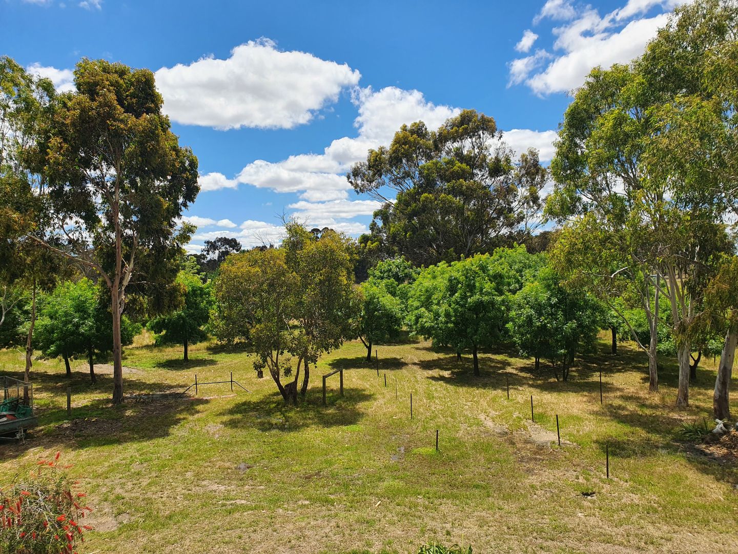 1627 Arcadia Two Chain Road, Miepoll VIC 3666 House for Sale 550,000