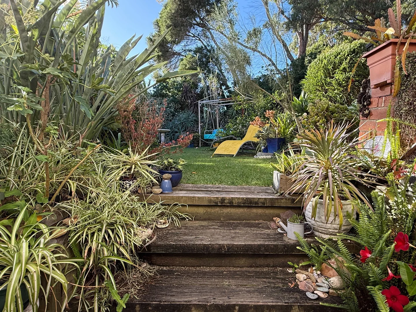 Image 13