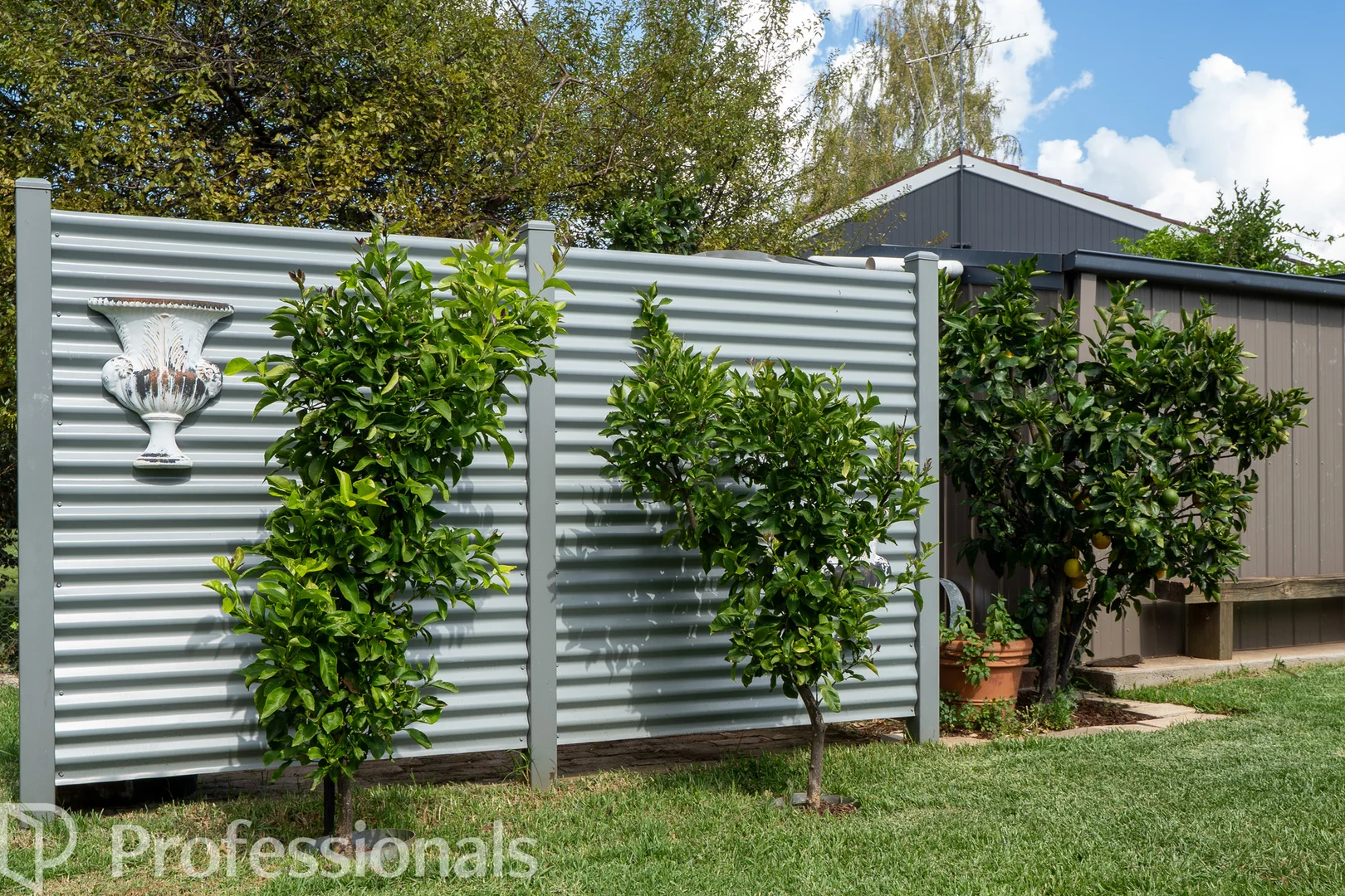 Additional image 19 of 6 Park Lane, Orange NSW 2800